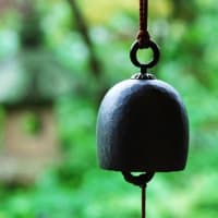 蝉の寿命数日なのに..【都条例で禁止】セミの幼虫「採取禁止」の張り紙　都内の公園、食用目的で乱獲か　中国語の看板で注意喚起