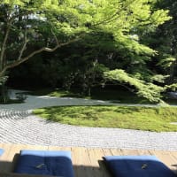 【京都幕間旅情】西来院,経文と歴史は庭園美超える哲学との融合求められる寺院の庭園