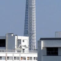 2025/6/29の朝の東京スカイツリー