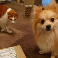 禁断その２