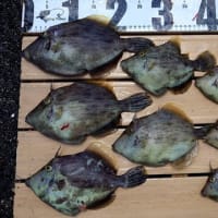 漬け