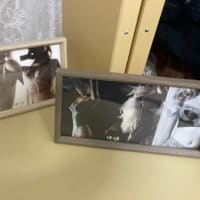 プライベートショコラ♪ただいま準備中です♪♪