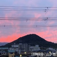 新しい生活が始まりました