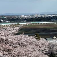 花見鉄２０２５