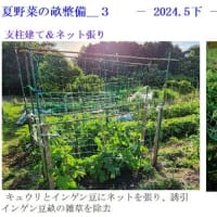 夏野菜の畝整備＿３　　－2024.5下－
