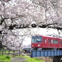 桜と名鉄電車、其の五