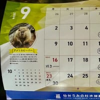 2024年9月丸竈定休日と限定らーめんのお知らせ