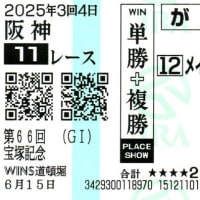 2025年　パラダイスS、宝塚記念　反省