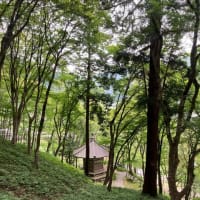 飯盛山登る〜香嵐渓