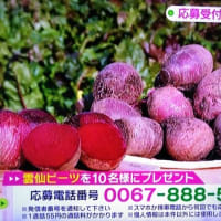 5/31・・・旅サラダプレゼント(月曜・朝9時まで)