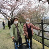 お花見でかけました！第一弾