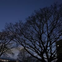 2021年12月26（日）ウォーキング