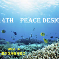 第14回Peace Design Cafe　〜課題解決に向けた第一歩...　【双方向性】〜