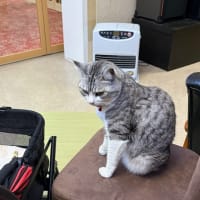 奥塩原そして那須高原へ