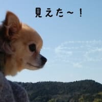姫路城のブルーインパルスです