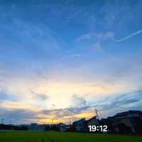 ６月25日水曜日、雨も降るが曇り空