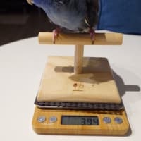 少しずつでも頑張ろう