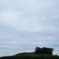 朝空