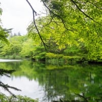 ブログのお引越しをしました