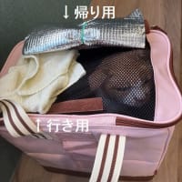 今日のお病院