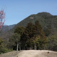 春うらら高松山周辺散歩　2024.3.27