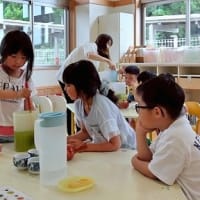 ７月１日　印野こども園で、日本茶教室