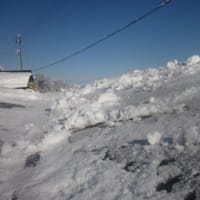 大雪と格闘・・１日５回の除雪作業・・