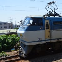 EF66-127牽引コンテナ貨物　【尻手駅：南武支線】2024.7.31