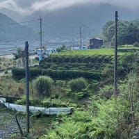 熊本豪雨災害から丸５年　肥薩線沿線