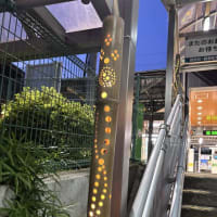 FUJINO BAMBOOARIUM開催！！！