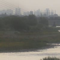 咳喘息で通院