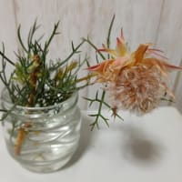 ◇◇◇　BEST FLOWER ARRANGMENT  