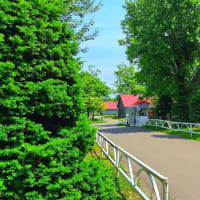 北海道２