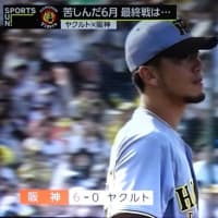 街角のアジサイ
