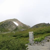 白山ハイキング　意外と涼しい山旅でした♪