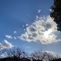 暖かい