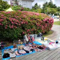 今日いち-2025年6月23日