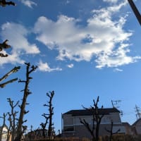 プレアデスのクリスタルを!!