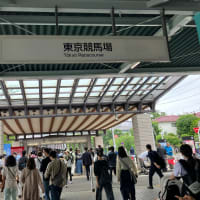 オークス