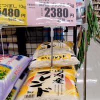 お米 安く売ってました