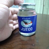 2025　子供のバレーボールの試合についていった話。