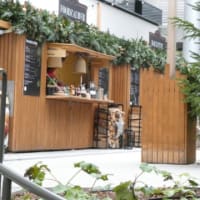 いよいよ、今日の夜帰国です。こちらはクリスマスの準備が始まっています。男性二人はもみの木選び