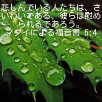 ミスター　バージン(virgin)