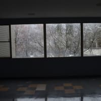 初雪