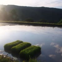 福島県・喜多方市の「上堰棚田」