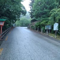 散歩で里山へ行けば・・・山あり谷あり