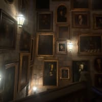 USJ⭐︎夜ユニバ楽しんできました♪