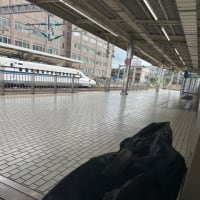 箱根ヒルクライム2024