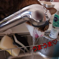 お水の飲み方