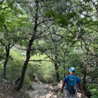 再度公園↔︎摩耶山掬星台